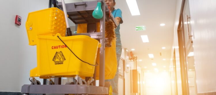 Cleaning service
